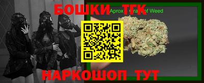 крисы Новокубанск