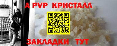 крисы Новокубанск