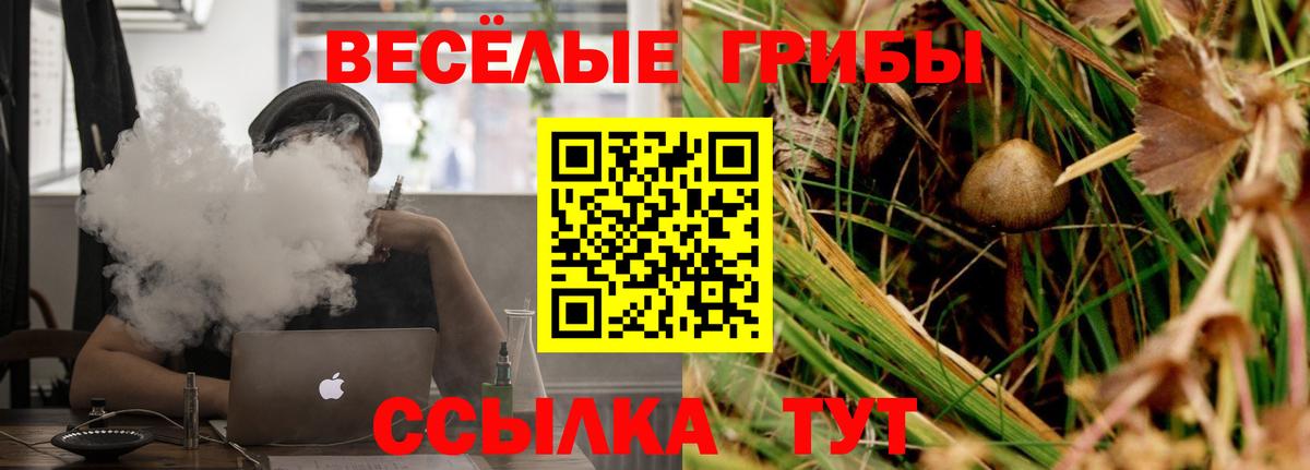 Псилоцибиновые грибы Psilocybine cubensis Ульяновск